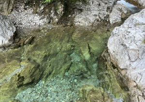 img_3704.jpeg img_3704.jpeg