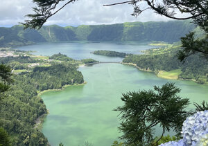 img_3368.jpeg img_3368.jpeg