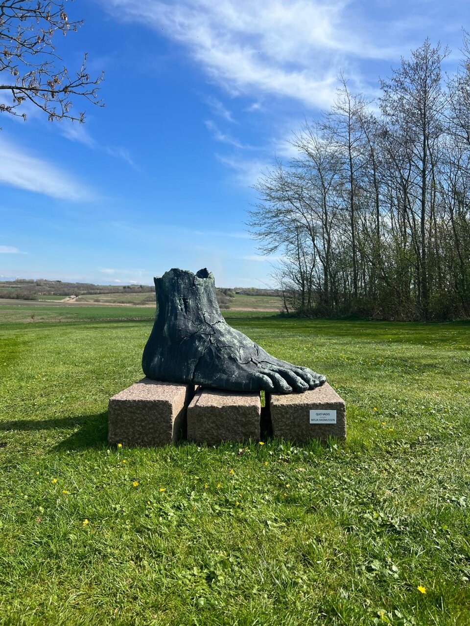 whatsapp image 2025-04-16 at 14.20.12.jpeg