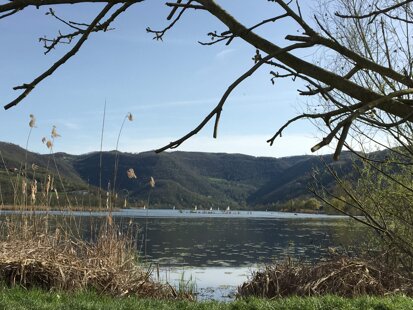 715739855a903f276569cfb4d88d323545f4e889