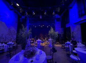 ANIMAREA, live music, musica matrimonio ed eventi. Jazz, Bossa Nova, Lounge, Pop, Soul, Dance ANIMAREA, live music, musica matrimonio ed eventi. Jazz, Bossa Nova, Lounge, Pop, Soul, Dance