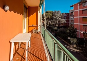 img_0826.jpeg img_0826.jpeg