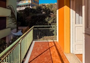 img_0829.jpeg img_0829.jpeg