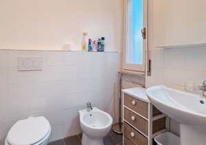 img_0833.jpeg img_0833.jpeg