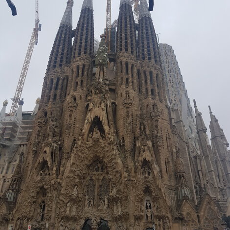 20180511_140118.jpeg