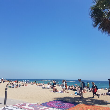 20180511_113007.jpeg