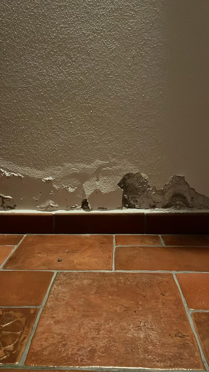 whatsapp image 2026-02-16 at 10.46.37.jpeg