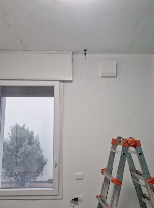 20241028_152446.jpeg