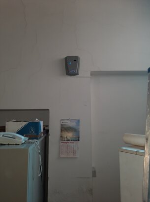 20241206_131154.jpeg