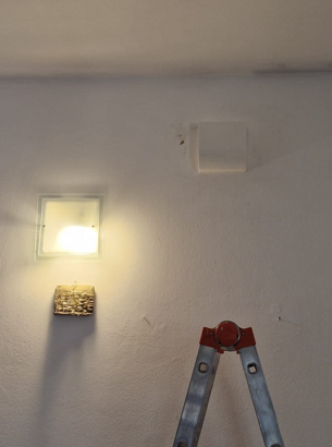 immagine%20whatsapp%202025-11-12%20ore%2014.04.07_4d19062e immagine%20whatsapp%202025-11-12%20ore%2014.04.07_4d19062e