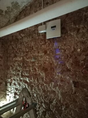 20230317_152922.jpeg
