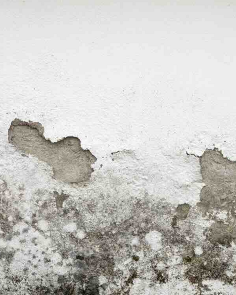 progetto senza titolo (5)