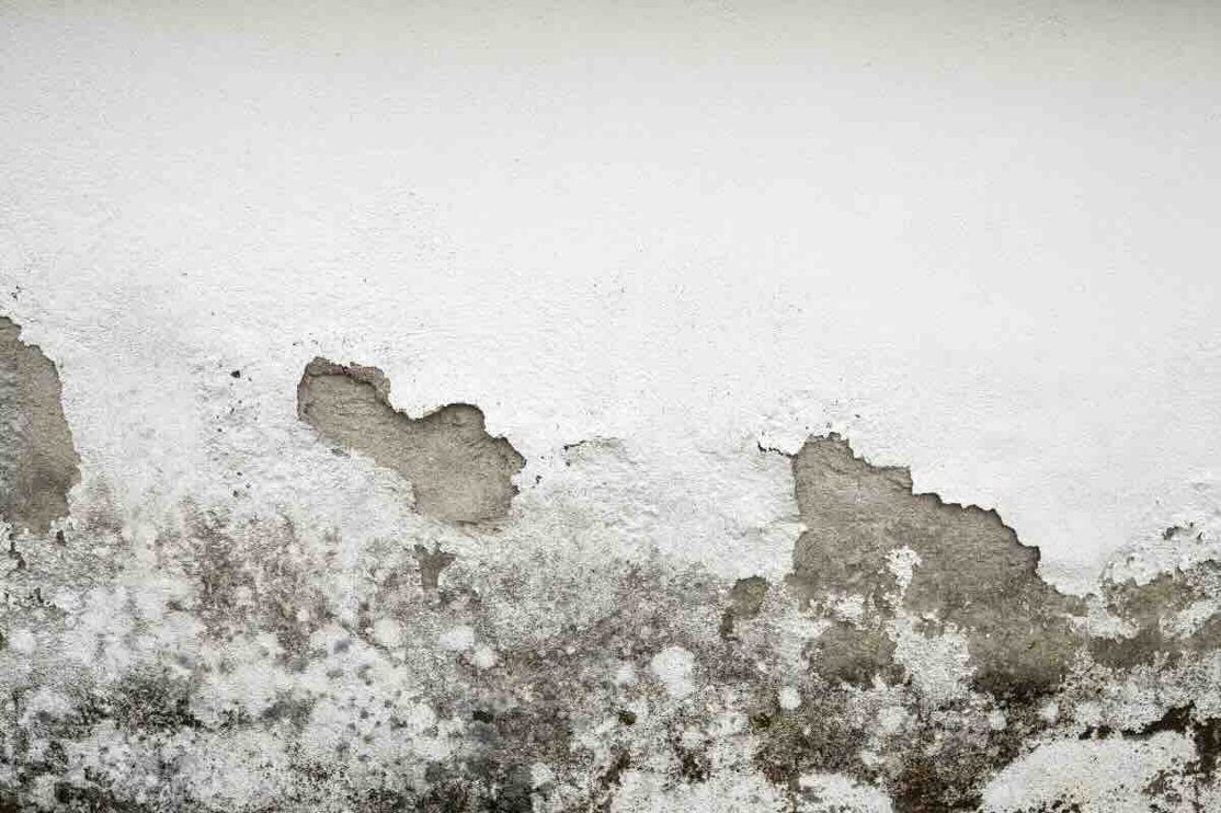 umidita-muro-24092024-designmag.it_.jpeg