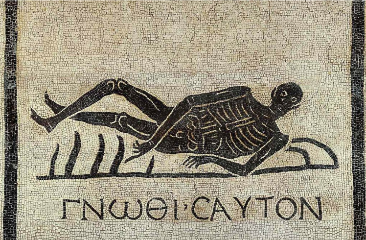 immagine-2025-11-10-140031.png immagine-2025-11-10-140031.png