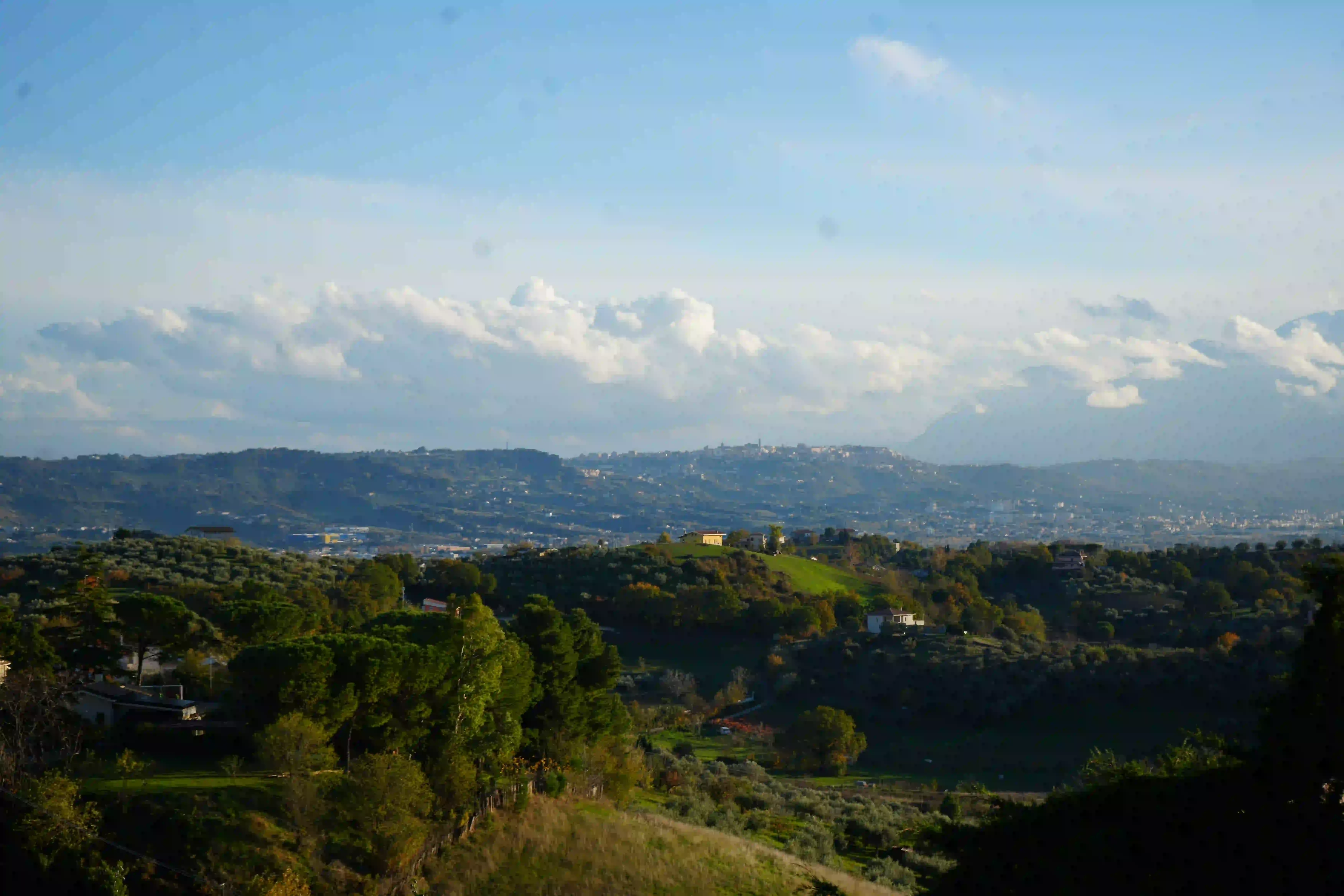 dsc03859_risultato.webp dsc03859_risultato.webp