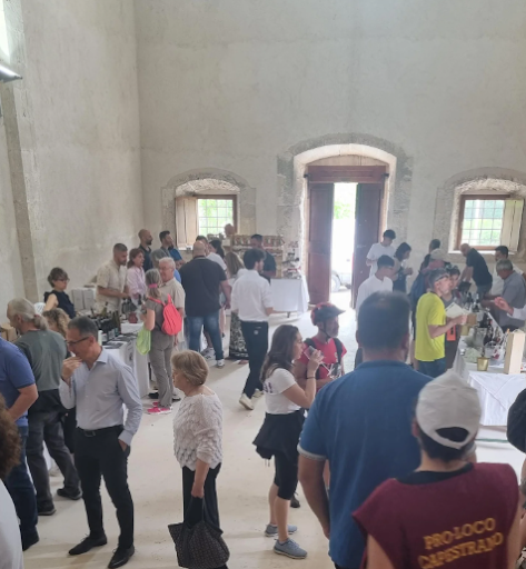 La nostra Selezione dei Vini