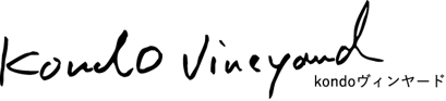 04.5 logo kondo nero