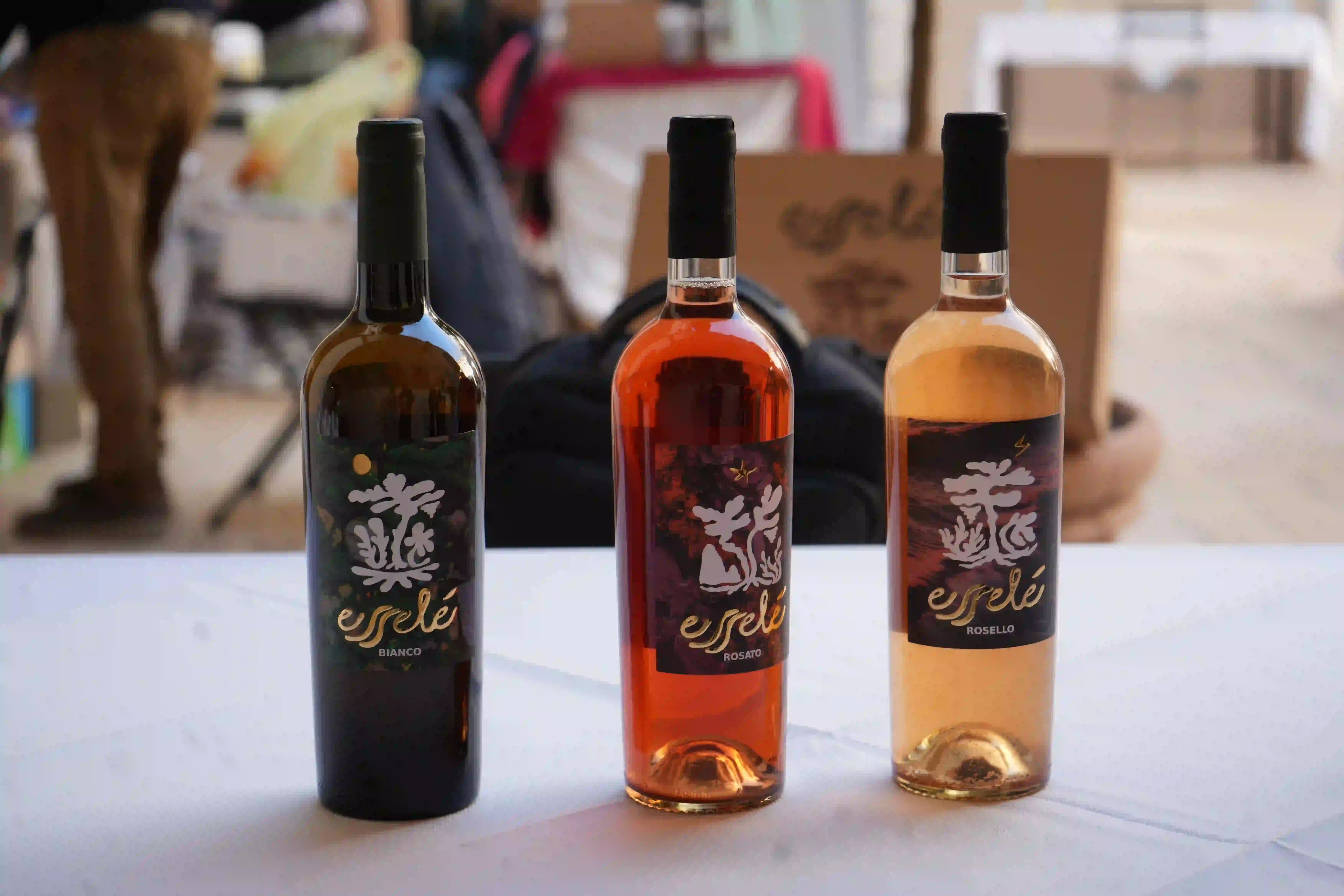 dsc03647_risultato.webp dsc03647_risultato.webp