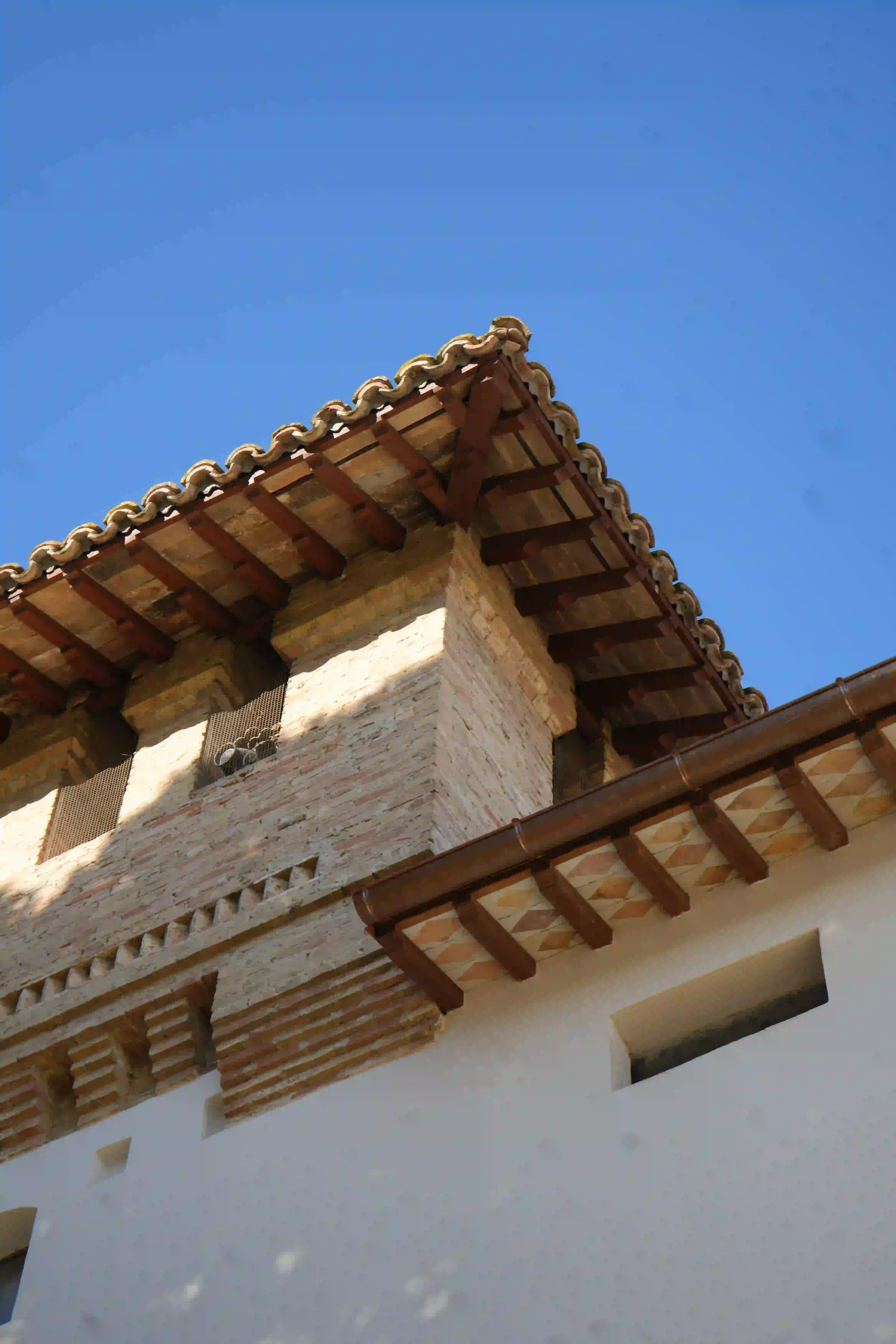 dsc03827_risultato.webp dsc03827_risultato.webp