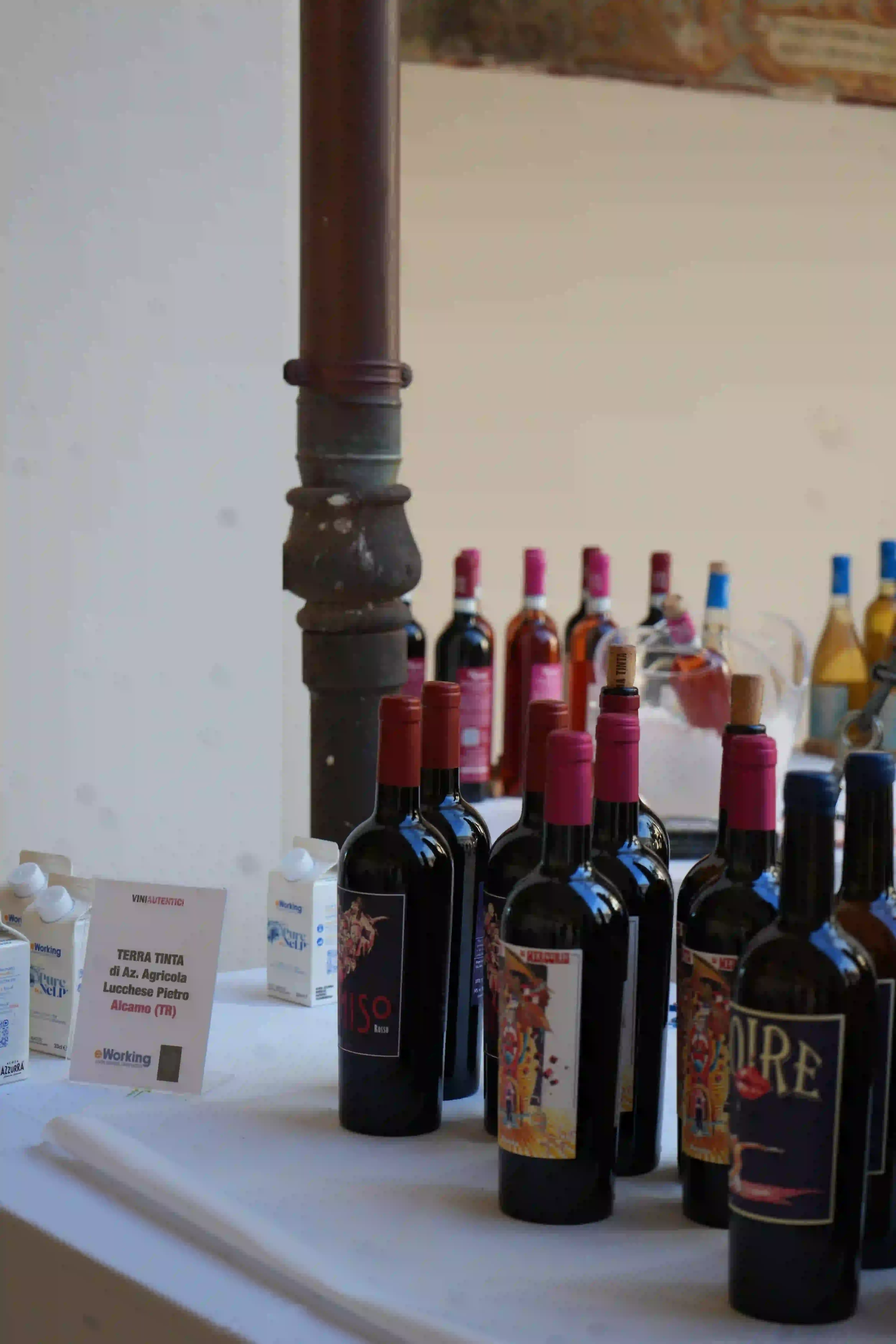 dsc03764_risultato.webp dsc03764_risultato.webp