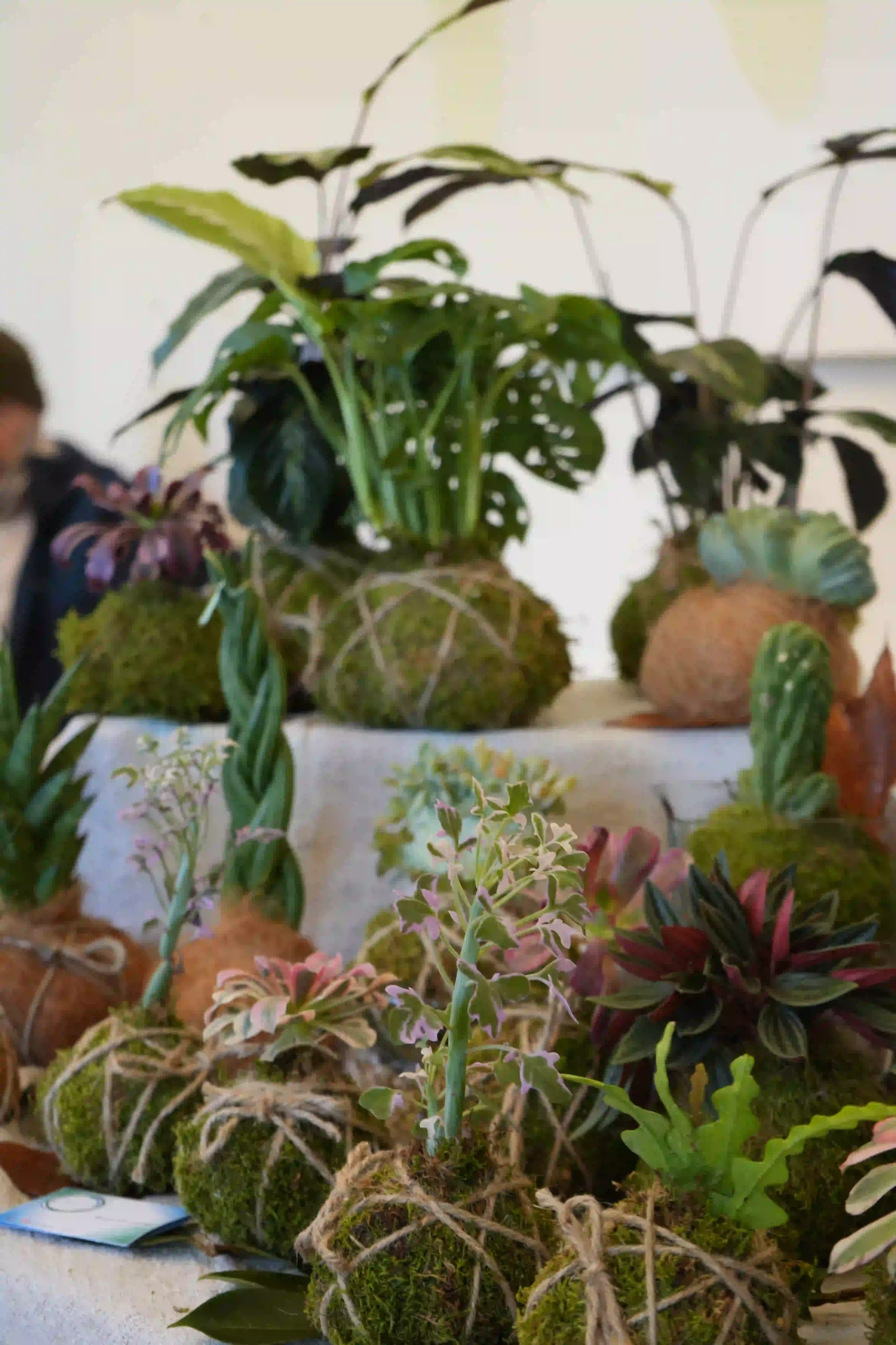 dsc03785_risultato.webp dsc03785_risultato.webp