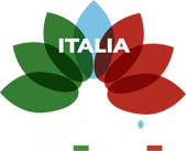 2025-strategia italia (celeste) - bianco
