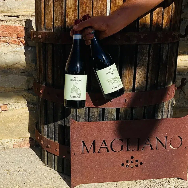 piemonte-doc-rosso-campai-2023-magliano-boschetto-alta-langa