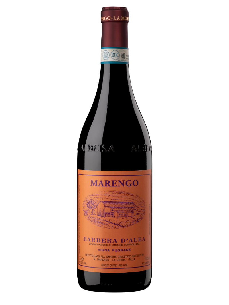 barbera-dalba-doc-vigna-pugnane-2022-mario-marengo