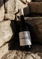 piemonte-doc-riesling-annozero-2022-magliano-boschetto-alta-langa