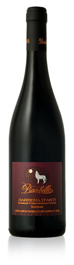 barbera-dasti-docg-superiore-2016-pianbello-cantine-amerio-duplicato-688530c215a00