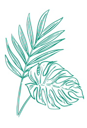 fiore