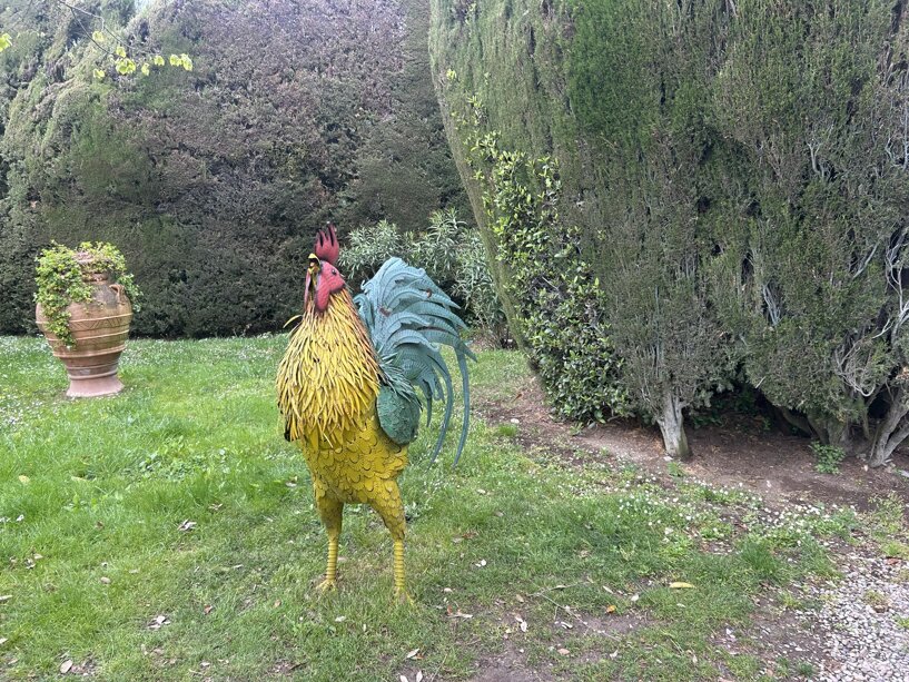 img_1333.jpeg img_1333.jpeg