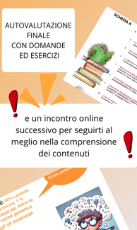 schermata 2025-09-24 alle 16.33.18 schermata 2025-09-24 alle 16.33.18