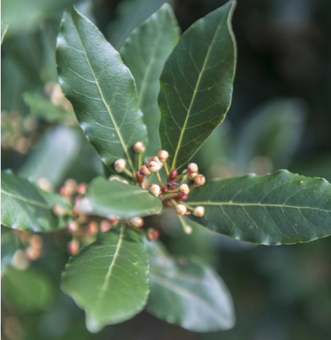 schermata-2025-05-15-alle-18.17.28.png schermata-2025-05-15-alle-18.17.28.png