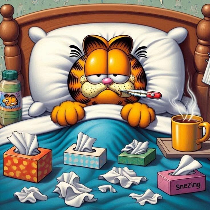 IMMUNITA' E OLI ESSENZIALI...un piccolo suggerimento