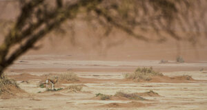 dsc_1289.jpeg dsc_1289.jpeg