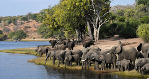 dsc_0552.jpeg dsc_0552.jpeg