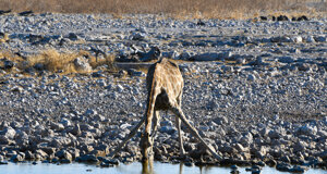 dsc_1311.jpeg dsc_1311.jpeg