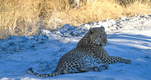 dsc_0800.jpeg dsc_0800.jpeg