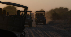 dsc_0921.jpeg dsc_0921.jpeg