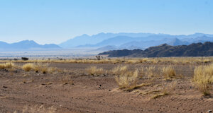 dsc_1195.jpeg dsc_1195.jpeg