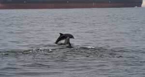 dsc_1058.jpeg dsc_1058.jpeg