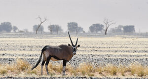 dsc_1273.jpeg dsc_1273.jpeg