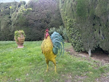 img_1334.jpeg