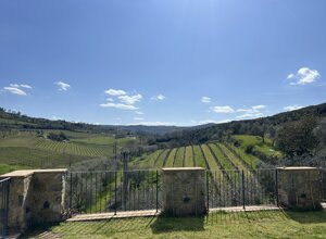 winetasting.jpeg