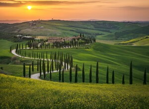 shutterstock_2605894093.jpeg