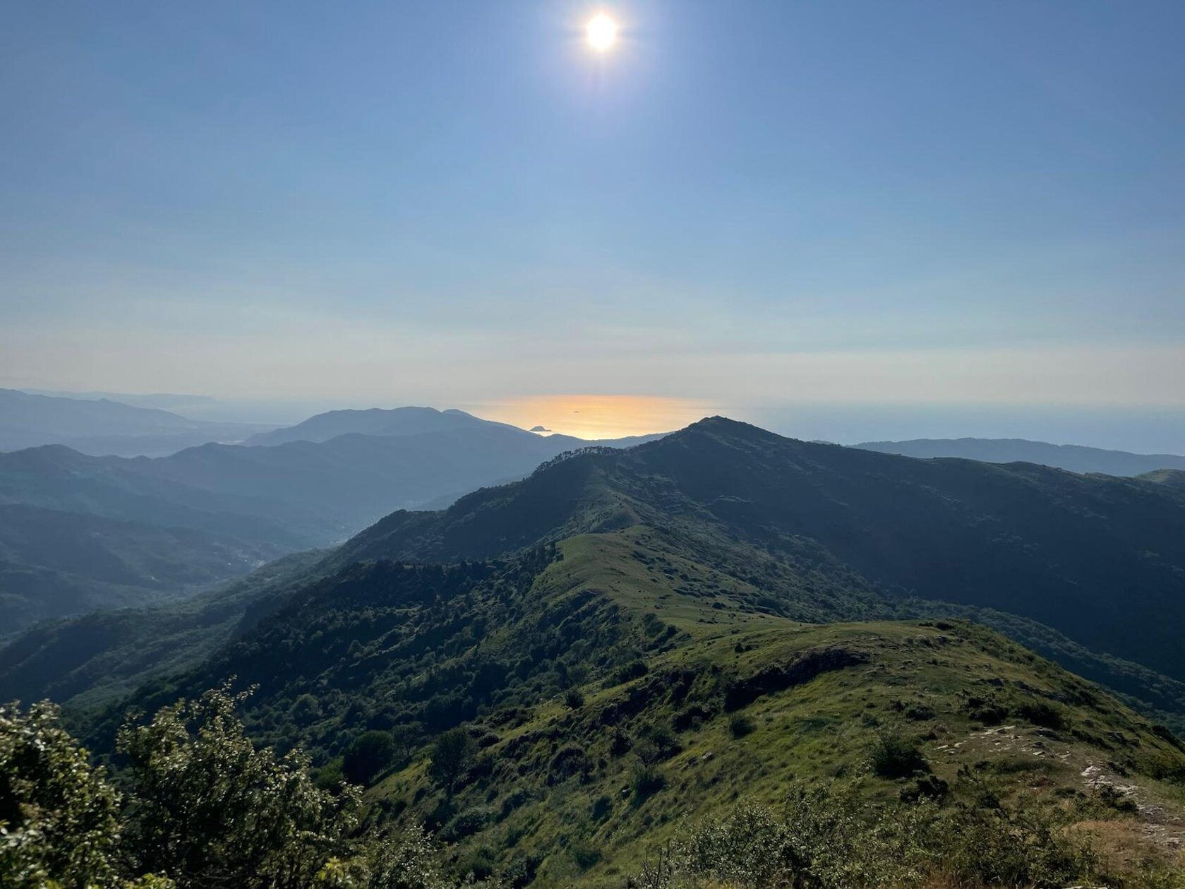 img-20250618-wa0038.jpeg img-20250618-wa0038.jpeg