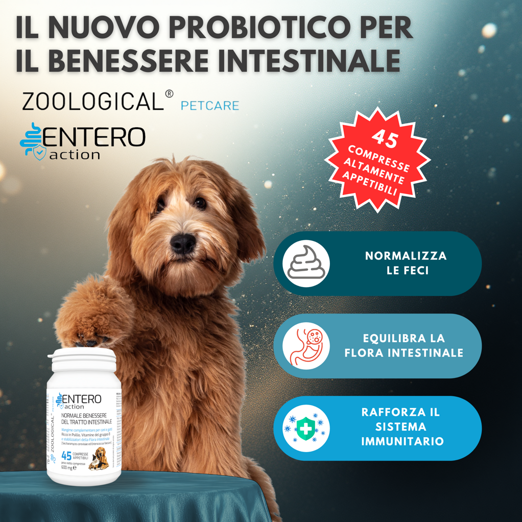 probiotico cani e gatti - fermenti lattici - feci - prurito - sistema immunitario