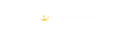 logo msr