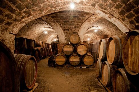 cantina_orte-in-cantina.jpeg cantina_orte-in-cantina.jpeg